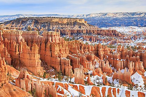 Hoodoo rock formations in winter light in Bryce Canyon National Park, Utah.