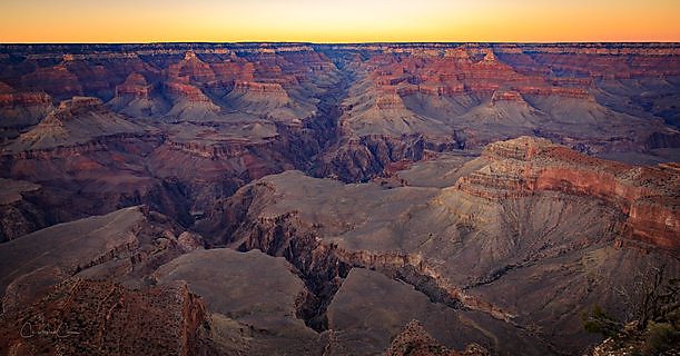 A wide view of the layered canyon walls of the Grand Canyon, Arizona, in early light.