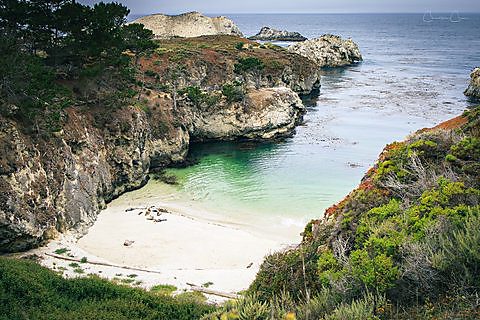 China Cove at Point Lobos State Natural Reserve, California.