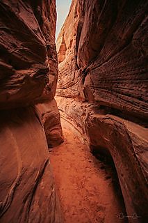 A vertical view of red sandstone rock in Valley of Fire State Park, Nevada.