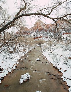 A vertical view of Zion Canyon's red sandstone cliffs in Zion National Park, Utah.
