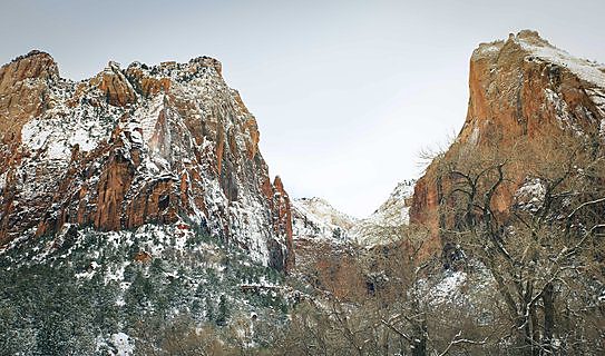 Red sandstone canyon walls in Zion National Park, Utah.