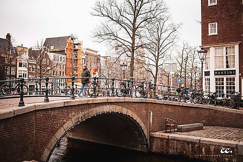 A canal and its houseboats in Amsterdam.