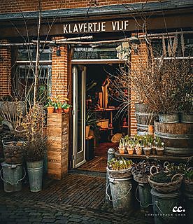 Haarlem, Netherlands.